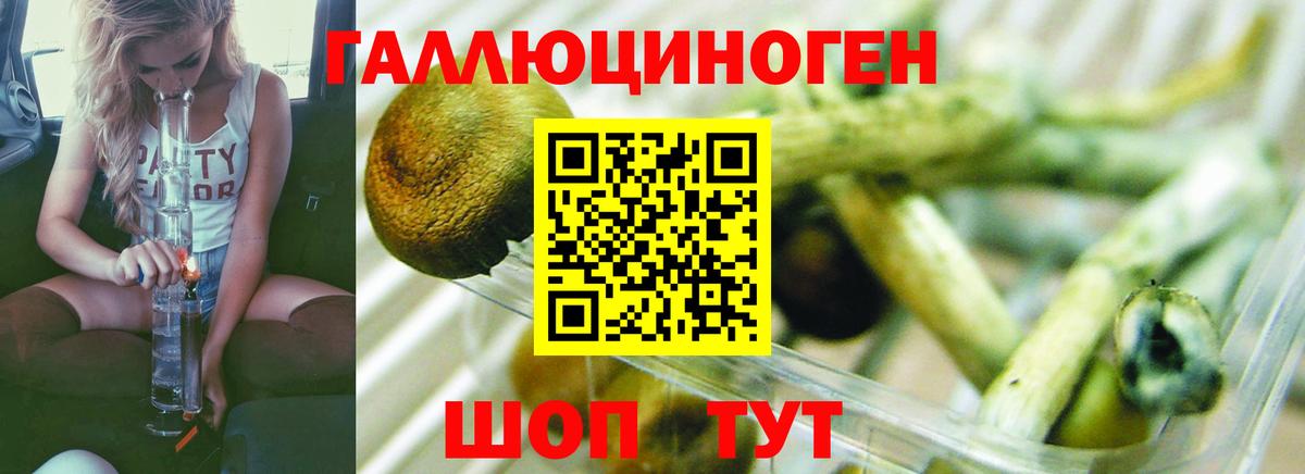 Галлюциногенные грибы GOLDEN TEACHER  Вход с VPN  Первоуральск 